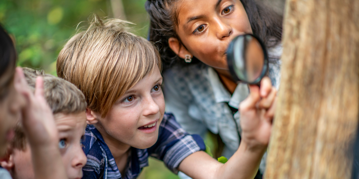 Forest Schools | Creative Activity