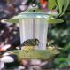 Eco Bird Feeder | Creative Activity