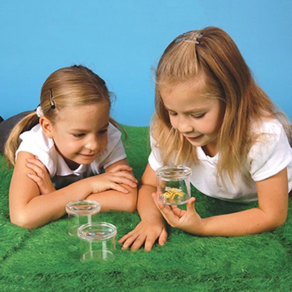 Insect Viewer Pots 3pk | Creative Activity