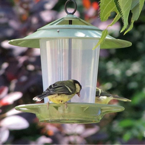 Eco Bird Feeder | Creative Activity