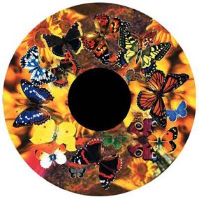 Effect Wheels Butterfly | Creative Activity