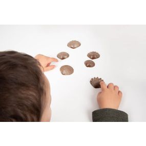 Eco Friendly Tactile Shells  | Creative Activity