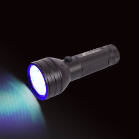 UV LED Torch Small | Creative Activity