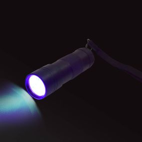 UV LED Torch Large | Creative Activity